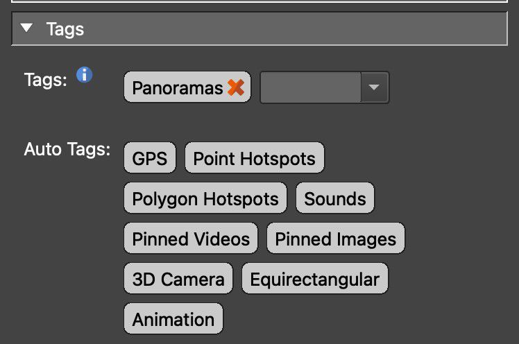 Auto Tags in User Data