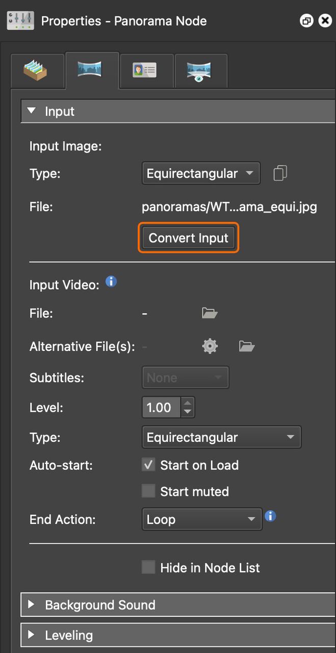 Convert Input in the Panorama Properties