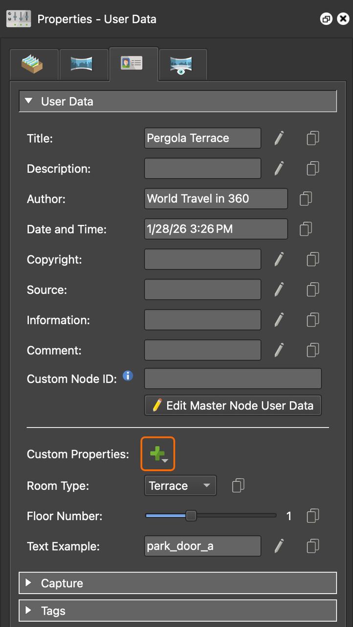 Click the plus to add a custom property.