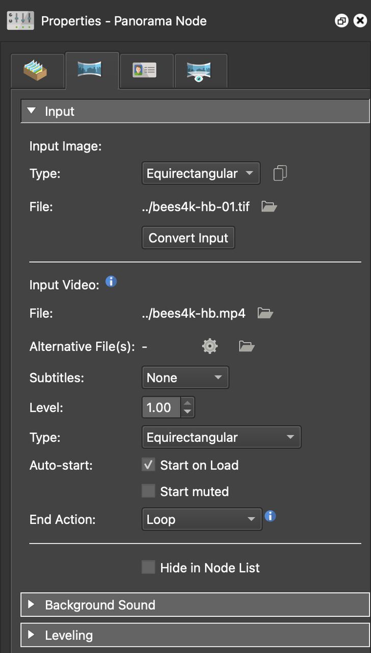 Video Panorama input properties