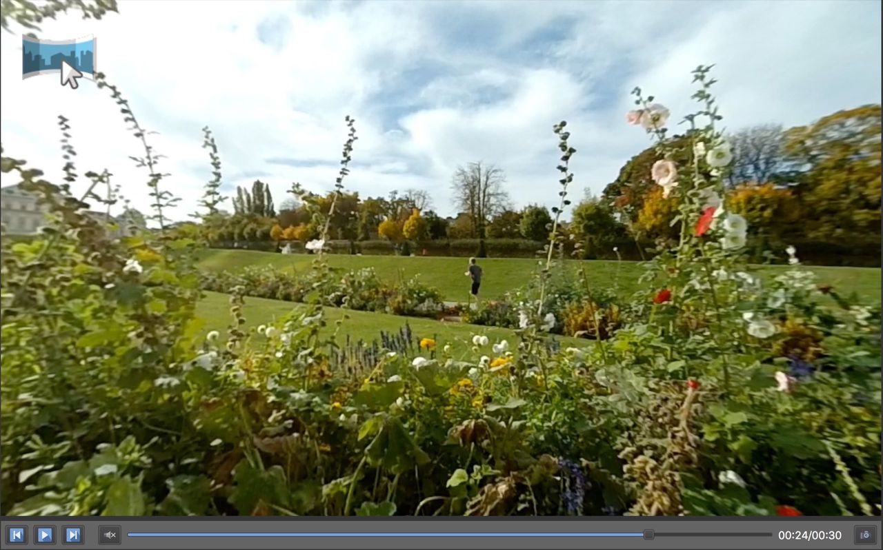 Video Panoramas displayed in the Viewer