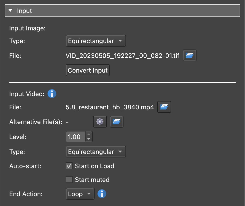 Video Panorama input properties