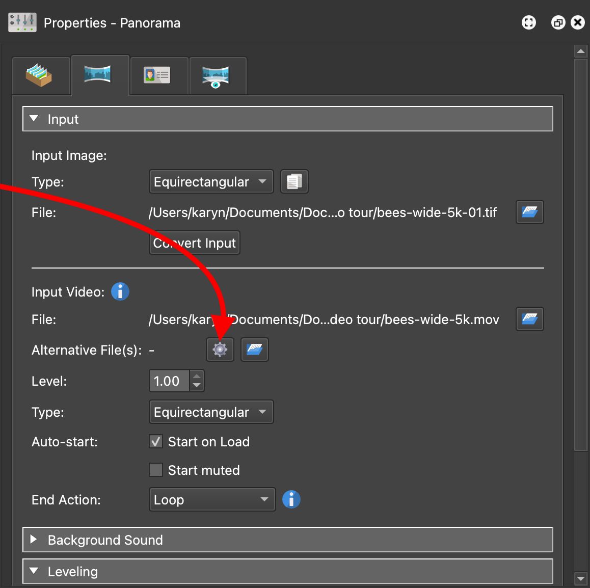 Convert Video button