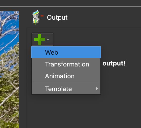 Add a Web Output.