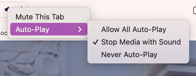 Safari’s Media Settings
