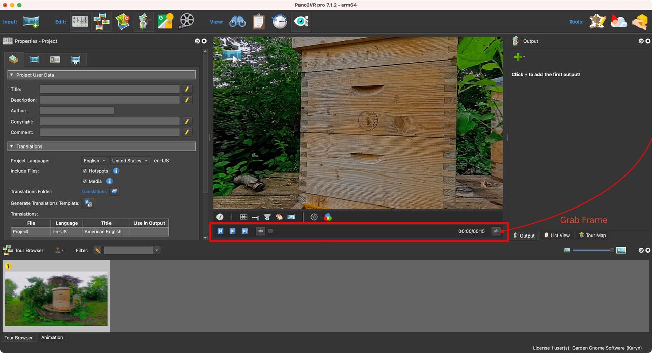 Video panorama added after importing. Video controls show below the Viewer, as well as a Grab Frame button.