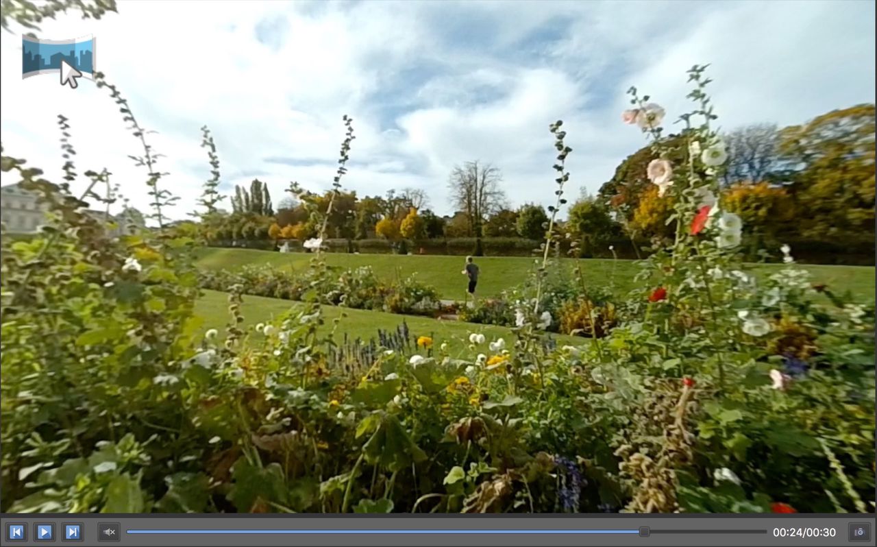 Video Panoramas displayed in the Viewer