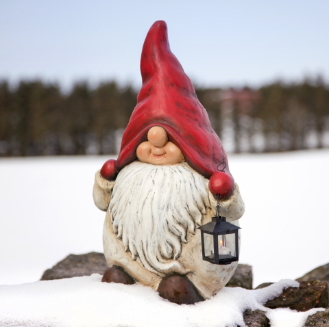 Happy Holidays from the Gnomes