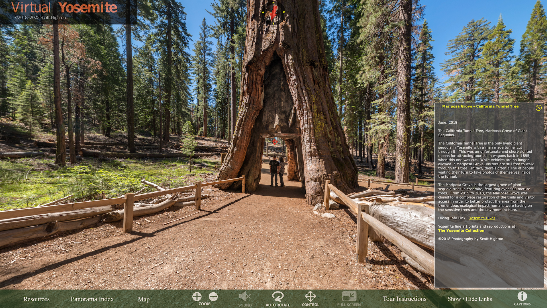 Pano2VR in the Wild, Virtual Yosemite, Tree Tunnel
